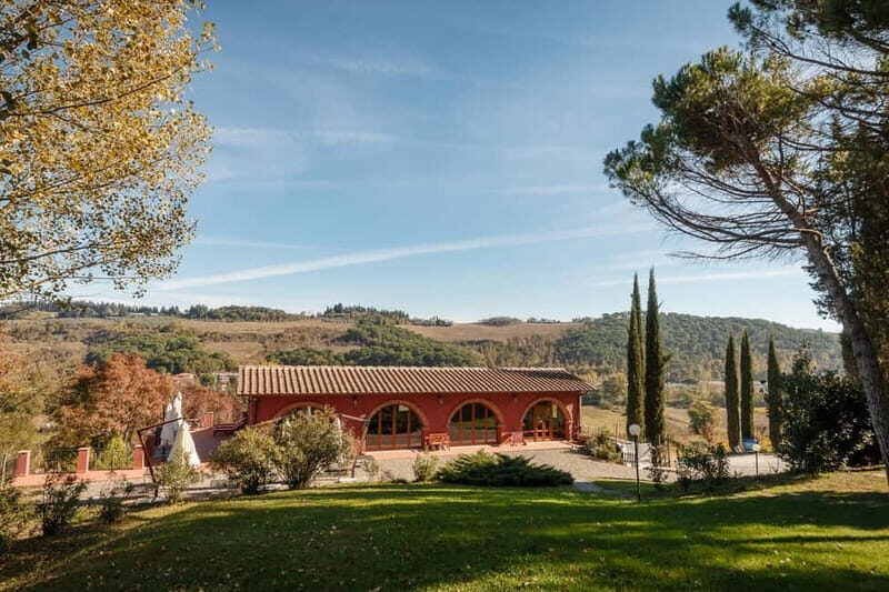 Florence: Wine Tasting at a Vineyard With a Local Winemaker - Tasting from the Vat and Barrels: A Rare Opportunity