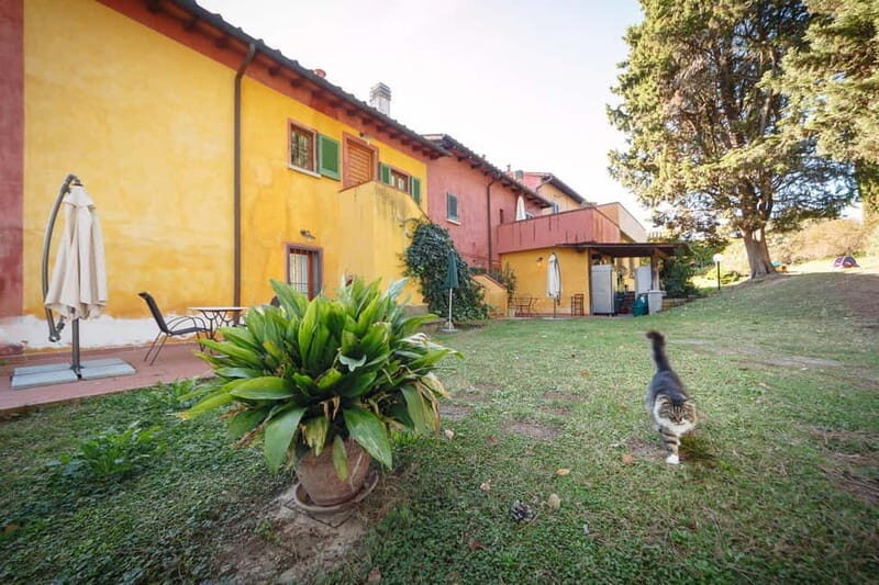 Florence: Wine Tasting at a Vineyard With a Local Winemaker - Practical Details and Booking Considerations