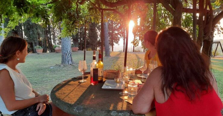 Florence Wine Tour With Traditional Lunch, Private Winery - Tour Details