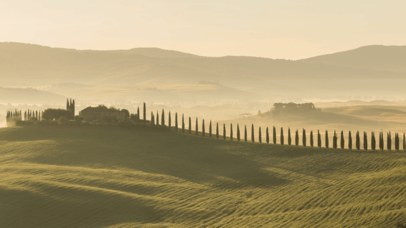 Florence:Day Tour to Siena&Baccoleno&Chapel w/ PrivateDriver - The Stops: What You Can Expect