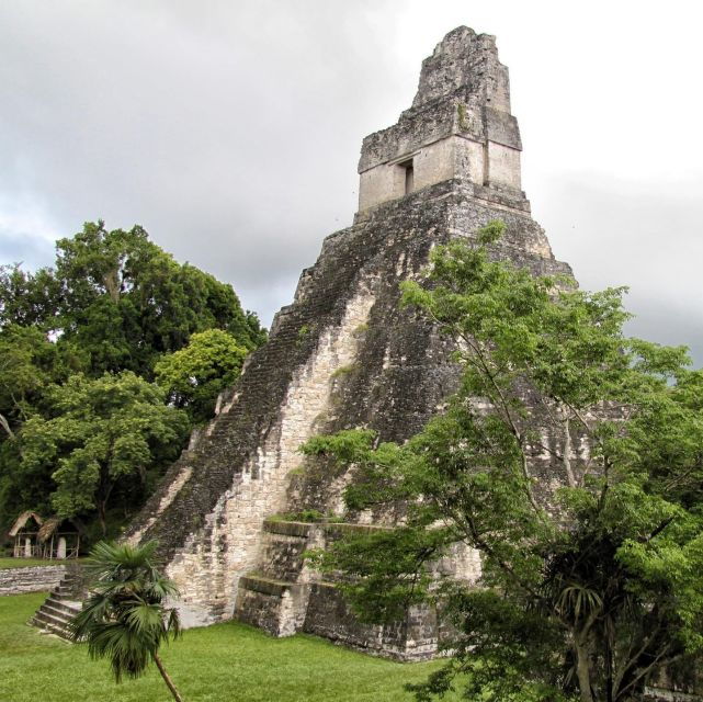 Flores: 1-Day Tikal Tour Private Service From Your Hotel - Cancellation Policy