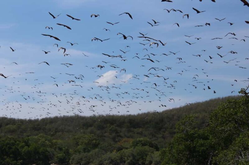 Flores: 7-Day Guided Tour with Snorkeling & Sightseeing - FAQ