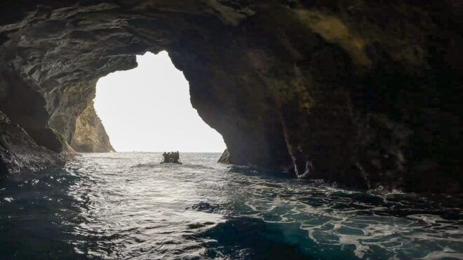 Flores Boat Tours - Participant Restrictions