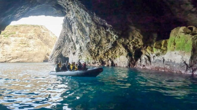Flores Boat Tours - Booking Information