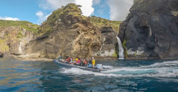 Flores Boat Tours - Customer Feedback