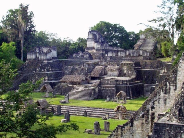 Flores, Petén: Tikal Mayan Ruins Adventure - Experience Highlights
