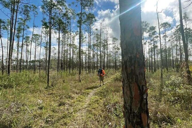 Florida Backcountry Overnight Camping Adventure - Who Is This Tour Best For?
