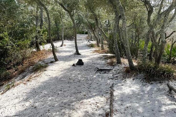 Florida Backcountry Overnight Camping Adventure - What the Tour Offers and Why It’s Unique