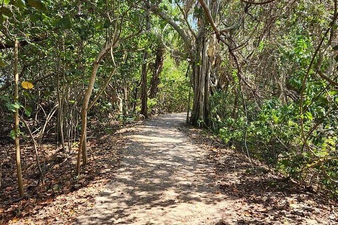 Florida Backcountry Overnight Camping Adventure - Price and Value Considerations