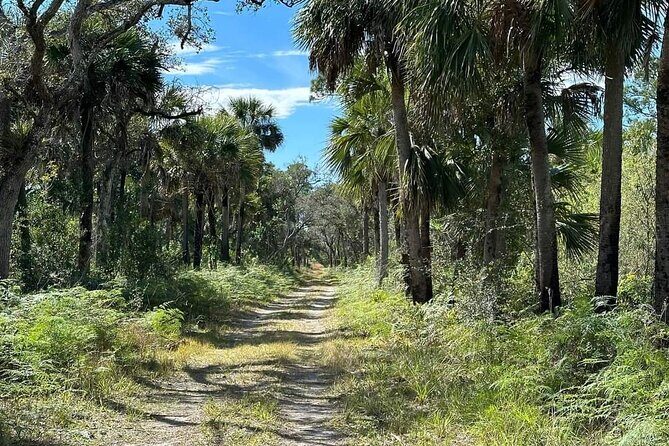 Florida Backcountry Overnight Camping Adventure - Authentic Feedback and Insights