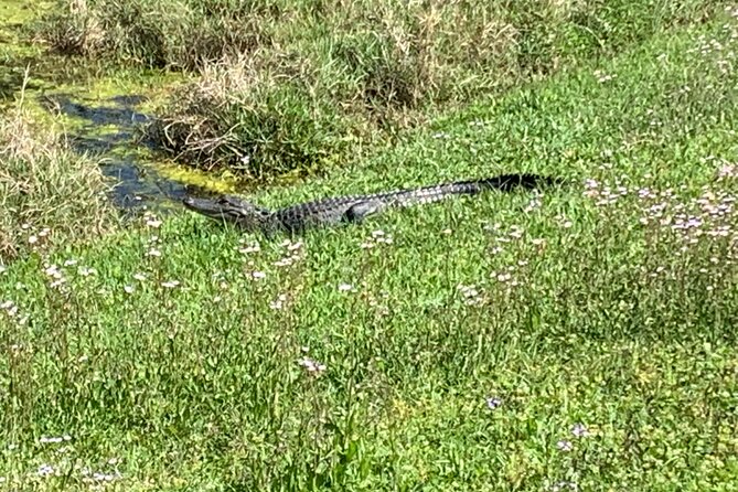 Florida Backroads E-Bike Tour - Tour Overview