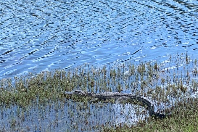 Florida Backroads E-Bike Tour - Traveler Photos and Reviews