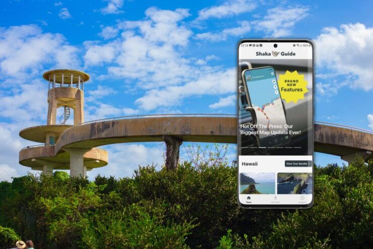 Florida: Big Cypress, Everglades, and Overseas Highway … - Background