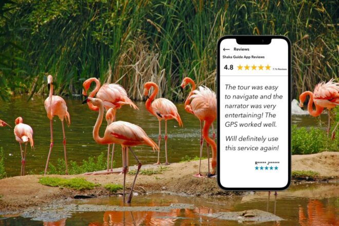 Florida: Big Cypress, Everglades, and Overseas Highway … - Highlights
