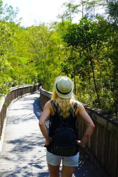 Florida: Big Cypress, Everglades, and Overseas Highway … - The Sum Up