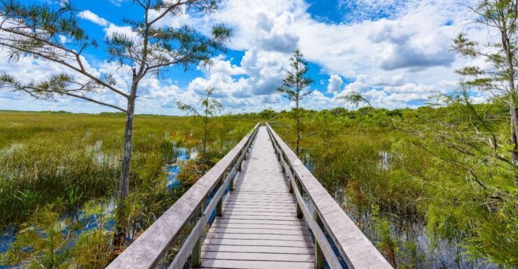 Florida City: Ultimate Florida Bundle Self-Driving Tour - Booking Details and Flexibility