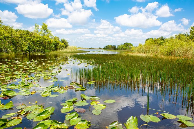 Florida Everglades Airboat Adventure Plus Miami Biscayne Bay Cruise - Panoramic Views and Marine Life