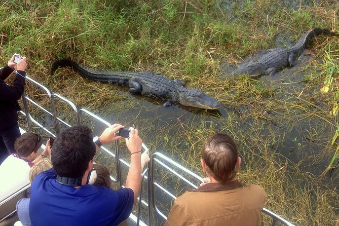 Florida Everglades Airboat Tour and Wild Florida Admission With Optional Lunch - Positive Feedback on Wildlife Encounters and Staff