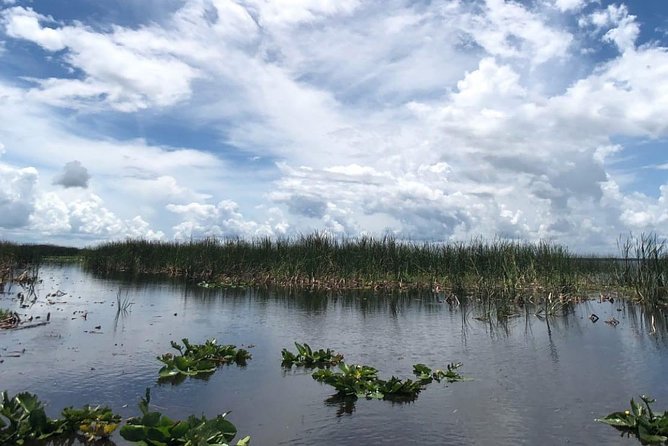 Florida Everglades Airboat Tour and Wild Florida Admission With Optional Lunch - Natural Beauty and Gator Sightings