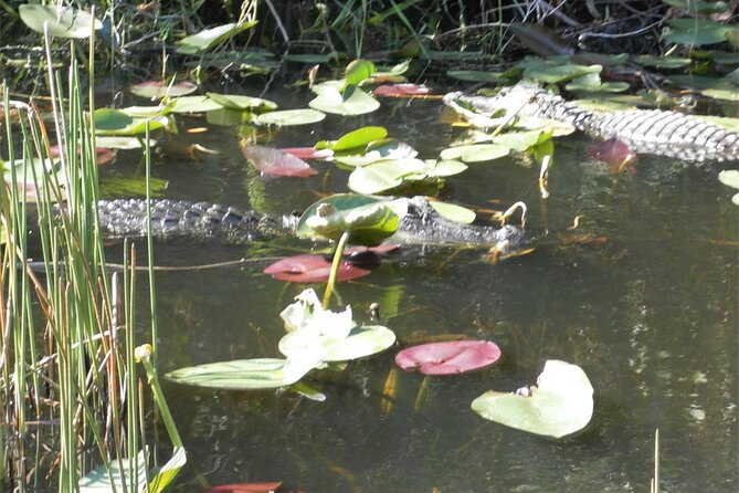 Florida Everglades Airboat Tour From Fort Lauderdale - Duration and Misleading Advertising