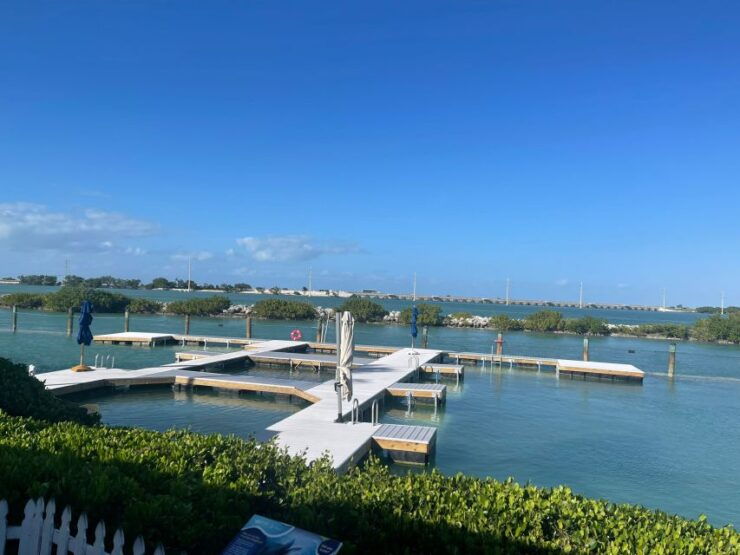 Florida Keys: Dockside Dolphin Experience - Good To Know