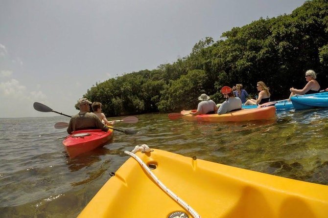 Florida Keys Eco, Paddle, and Snorkel Tour - Tour Overview and Activities