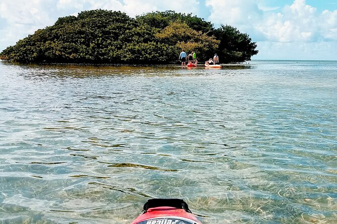 Florida Keys Eco, Paddle, and Snorkel Tour - Cancellation Policy