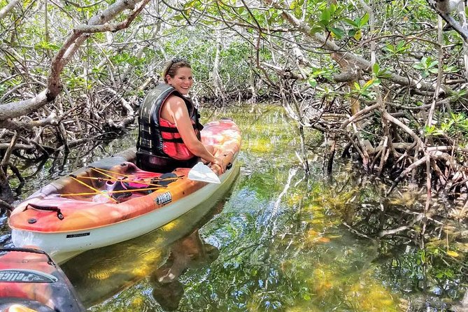 Florida Keys Eco, Paddle, and Snorkel Tour - Reviews and Price