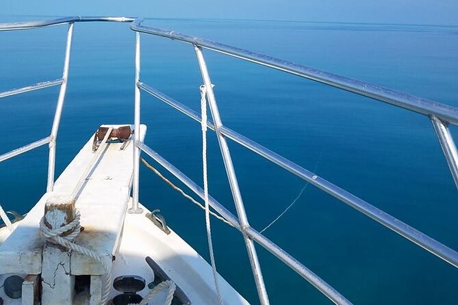 Florida Keys Eco, Paddle, and Snorkel Tour - Common Questions
