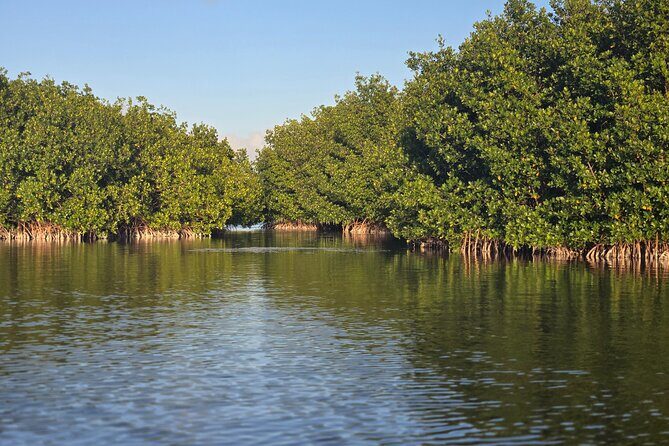 Florida Keys Kayak And Paddleboard Rentals - Navigating the Waterways: The Experience