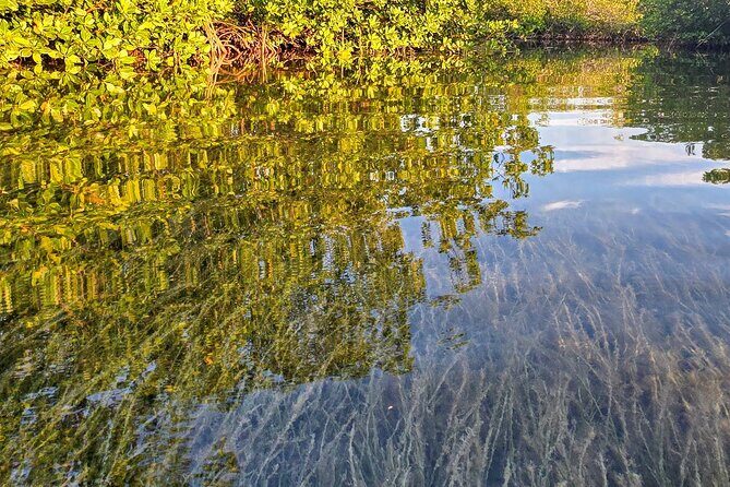 Florida Keys Kayak And Paddleboard Rentals - FAQ