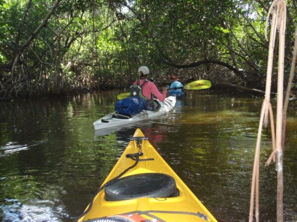 Florida Keys: Key West Kayak Eco Tour With Nature Guide - Common Questions