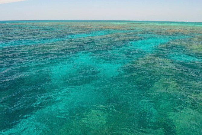 Florida Keys Reef Snorkel & Sail Adventure - Fantastic Reef