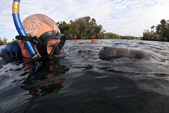 Florida Manatee Swim Adventure - Additional Information and Weather Policy