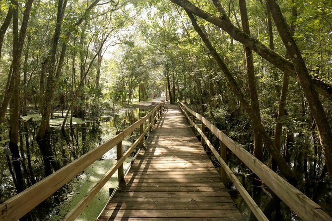 Florida Manatees, Nature Park, and Airboat Tour From Orlando - Customer Reviews