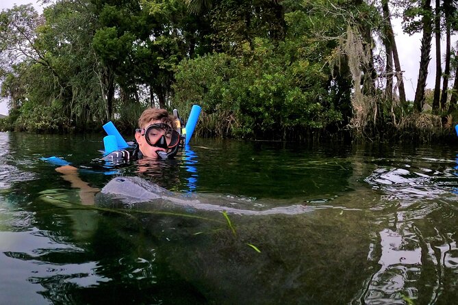 Florida Manatees, Nature Park, and Airboat Tour From Orlando - Tour Highlights