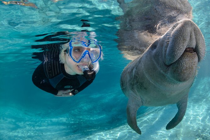 Florida Manatees, Nature Park, and Airboat Tour From Orlando - Tour Guides and Organization