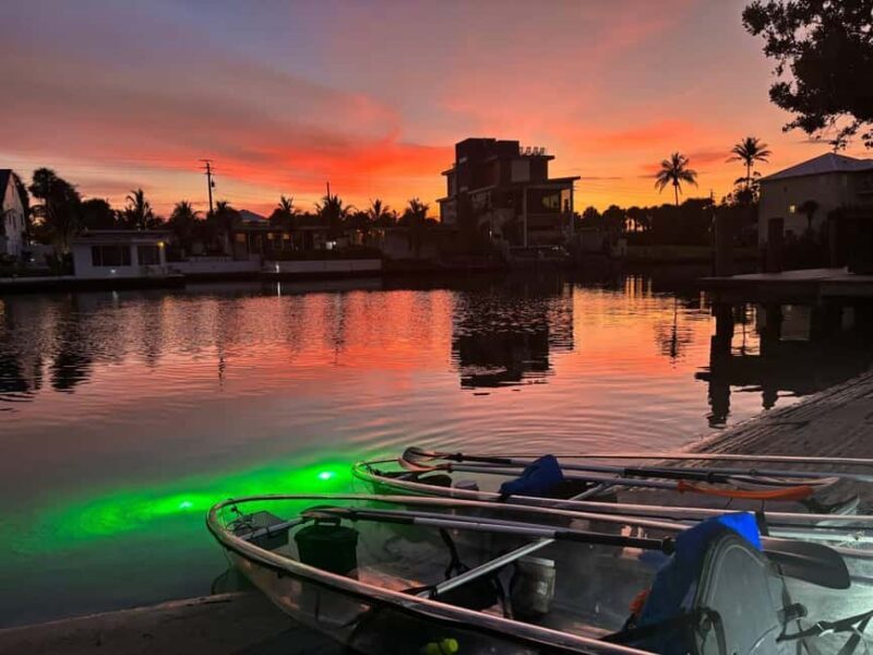 Florida: Sharkey's Guided Fish Feeding LED Night Tour - The Itinerary and What Makes It Special