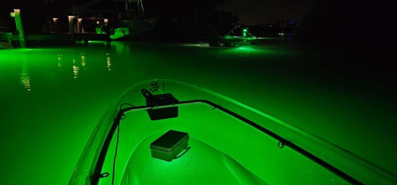 Florida: Sharkey's Guided Fish Feeding LED Night Tour - Authentic Insights from Reviews