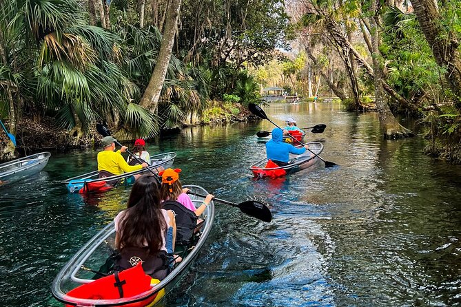 Florida: Silver Springs Small-Group Clear Kayaking Tour  - Orlando - Clear Kayaks