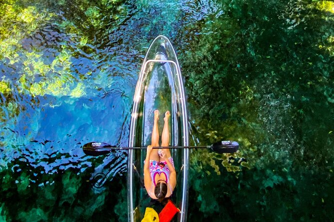 Florida: Silver Springs Small-Group Clear Kayaking Tour  - Orlando - Positive Reviews