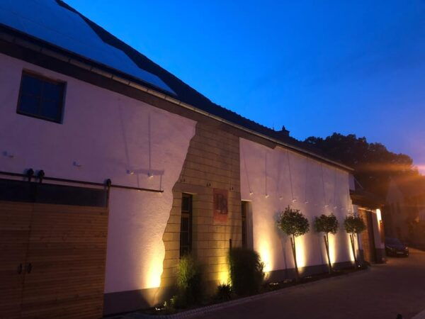 Flörsheim-Dalsheim: Experience Wine Tasting - 10 Wines, 5 Dishes - Participant Guidelines