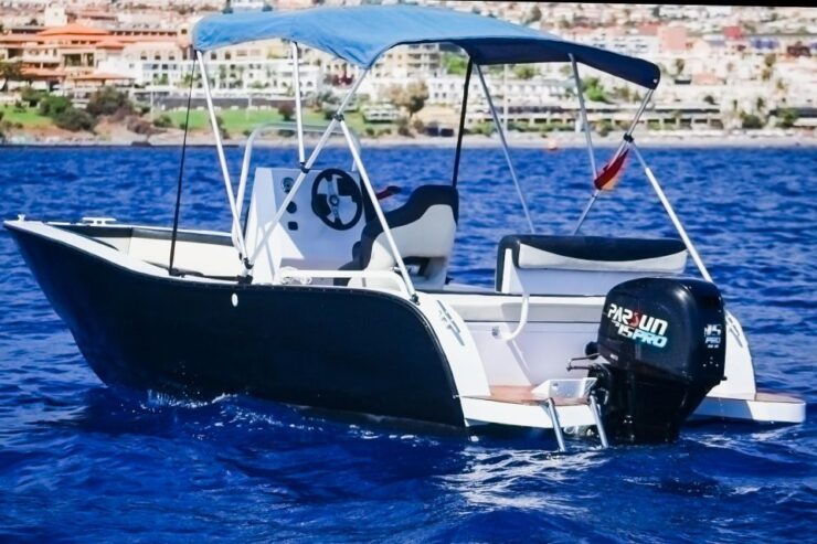 Flow Into the Ocean Without License and Discover Adeje - Good To Know