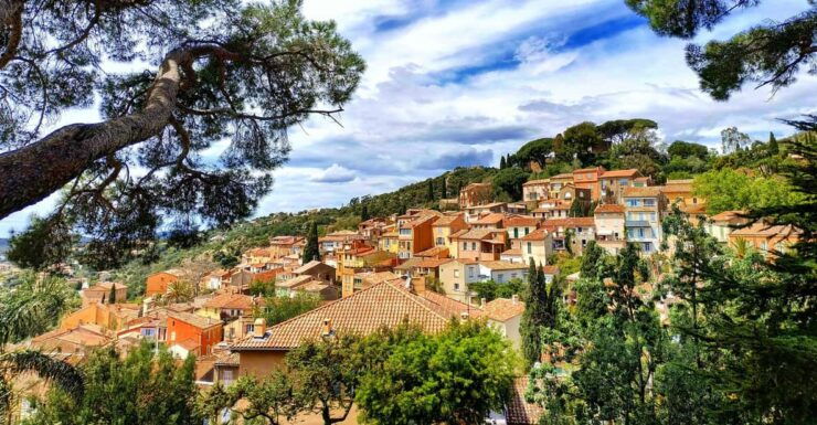 Flower City Bormes Les Mimosas | Private Tour Guide - Highlights of the Experience