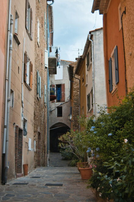 Flower City Bormes Les Mimosas | Private Tour Guide - Picking up From Your Location