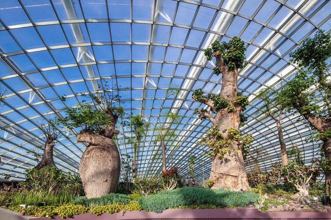 Flower Dome & Supertree Observatory - Reviews