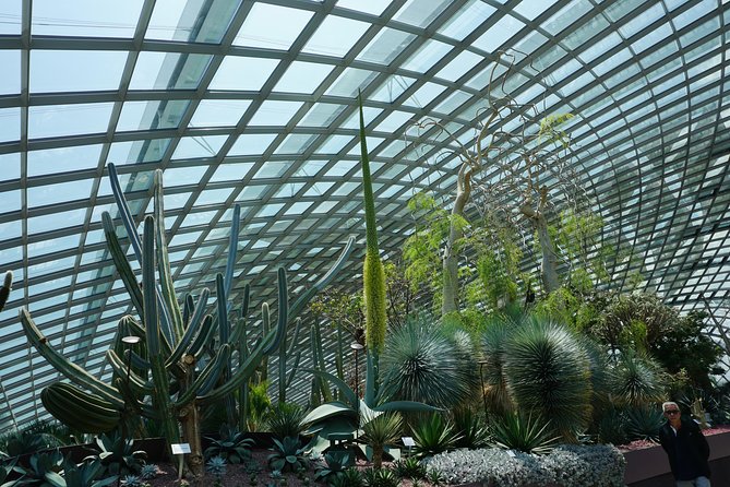 Flower Dome & Supertree Observatory - The Sum Up