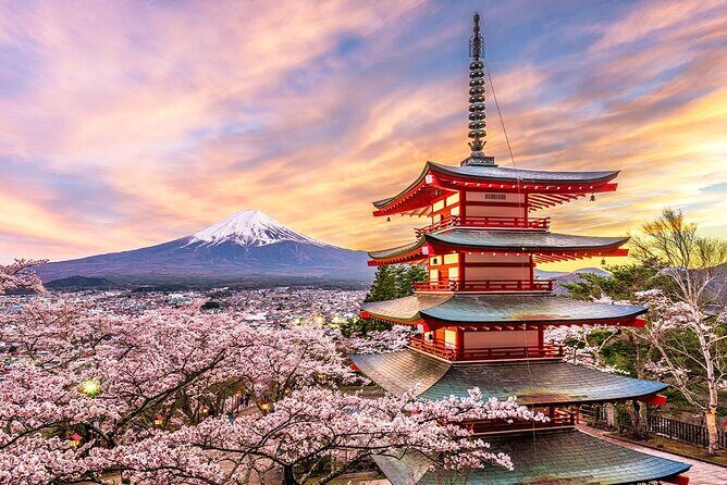 Flower Viewing at Kawaguchiko & Mt. Fuji Day Tour with Kusa Mochi - The Practicalities: What to Expect