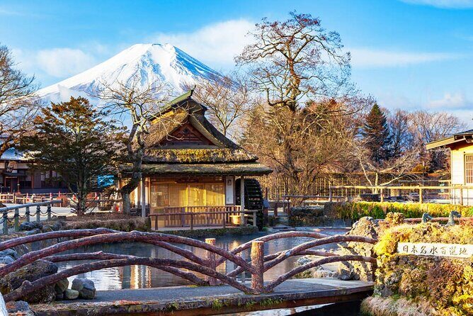 Flower Viewing at Kawaguchiko & Mt. Fuji Day Tour with Kusa Mochi - Final Thoughts