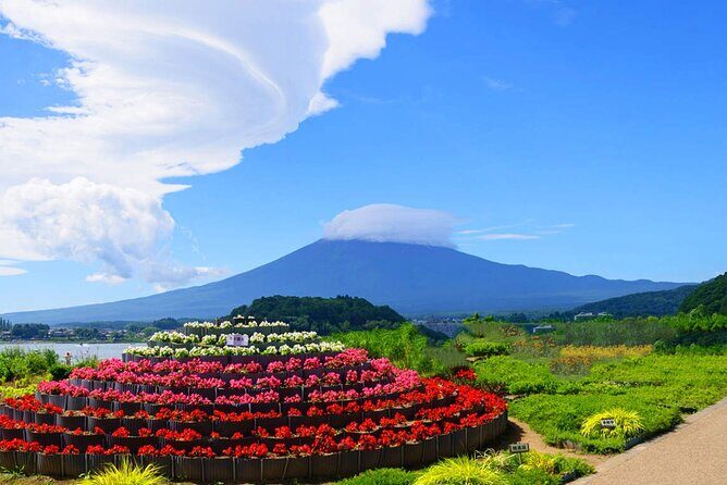 Flower Viewing at Kawaguchiko & Mt. Fuji Day Tour with Kusa Mochi - FAQs
